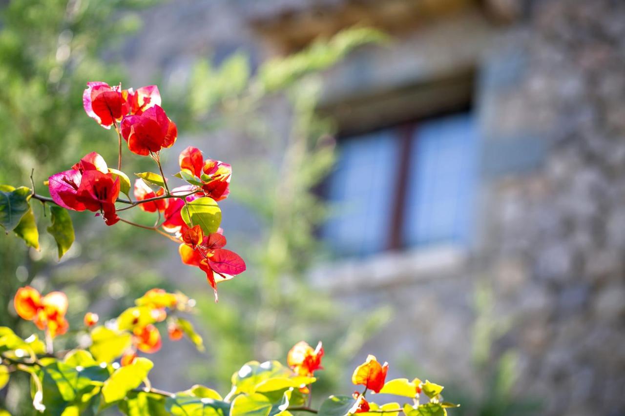 Filia Stone Villa Gouviá Exterior foto
